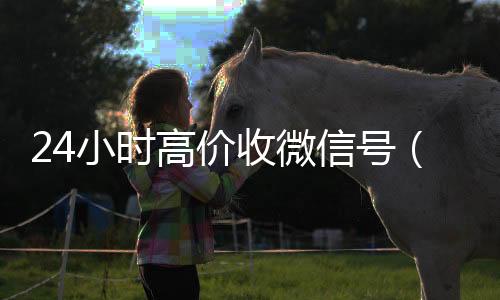 24小时高价收微回收vx秒结白号信号（高价收微信号2019）