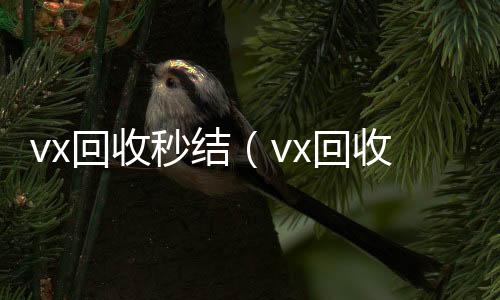 vx回收秒结在线24小时回收vx（vx回收秒结500）